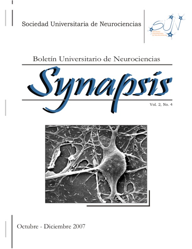 SYNAPSIS 2007 2(4)